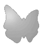 Polystyrolplatte in Schmetterling-Form konturgefräst <br>einseitig 4/0-farbig bedruckt